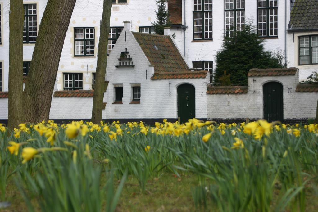B&B Gray Bruges Luaran gambar